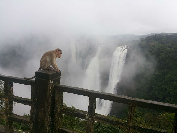 ಜೋಗ್‌ಫಾಲ್ಸ್ ತಲುಪುವುದು ಹೇಗೆ? 
