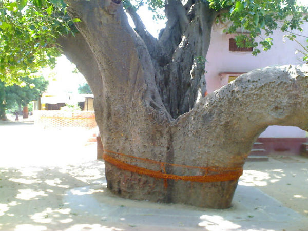 ಶಂಕರಾಚಾರ್ಯರು ಧ್ಯಾನ ಮಾಡಿದ್ದರು ಶಂಕರಾಚಾರ್ಯರು ಧ್ಯಾನ ಮಾಡಿದ್ದರು
