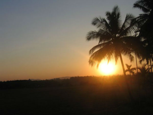 ಮತ್ತೂರು ಹಾಗೂ ಹೊಸಹಳ್ಳಿ