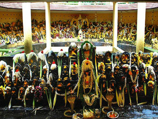 ನಾಗನಾಥಸ್ವಾಮಿ ದೇವಸ್ಥಾನ, ತಮಿಳುನಾಡು