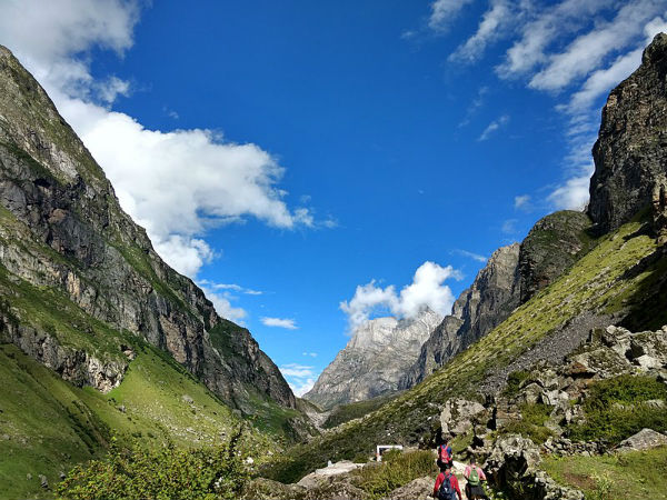 ರೋಗಗಳಿಂದ ಮುಕ್ತಿ 