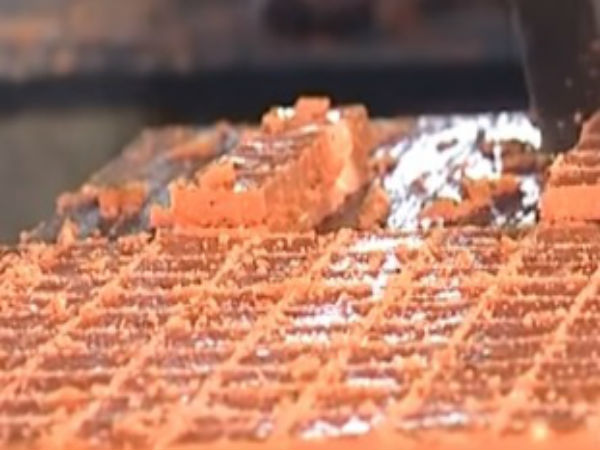 ಪರಿಮಳ ಪ್ರಸಾದ