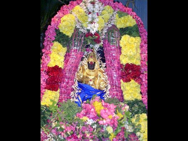 ಸ್ವಯಂ ಭೂ 