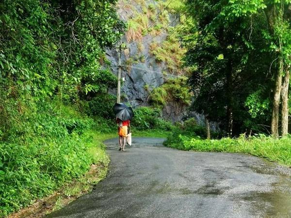 ಪೆಪ್ಪಾರಾ ವನ್ಯಜೀವಿ ಧಾಮ