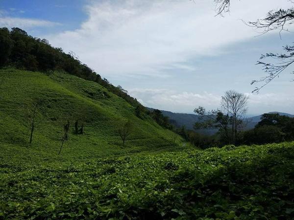 ನೆಯ್ಯರ್ ತೀರದಲ್ಲಿರುವ ಗ್ರಾಮ