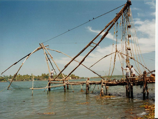 ಚೈನೀಸ್ ನೆಟ್ಸ್