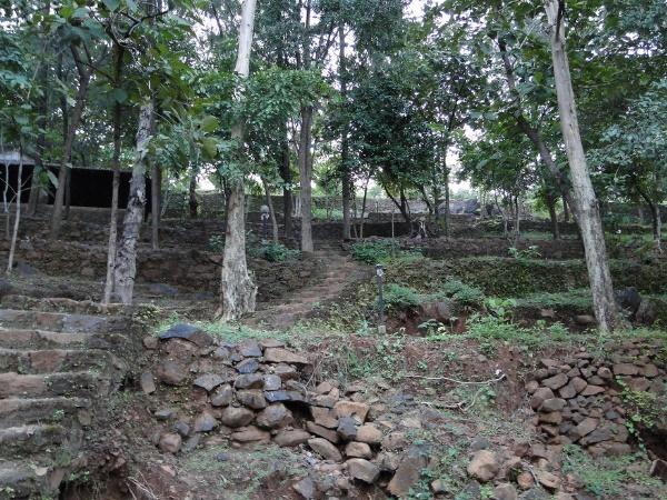 ದುರ್ಶೆಟ್ ಫಾರೆಸ್ಟ್ ಲಾಡ್ಜ್