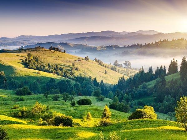 ಕೊಡೈಕೆನಾಲ್‌