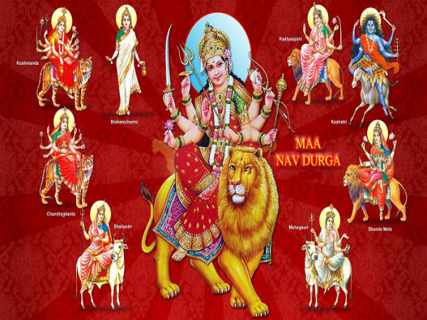 ಎರಡು ದಿನ ಮಾತ್ರ ತೆರೆದಿರುತ್ತದೆ ಎರಡು ದಿನ ಮಾತ್ರ ತೆರೆದಿರುತ್ತದೆ