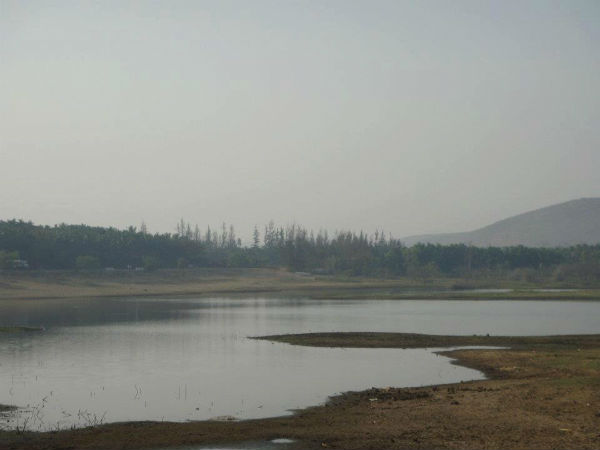 ರಂಗನಾಥನಿಗೆ ಹಾಲೆರೆಯುತ್ತಿದ್ದ ಹಸು