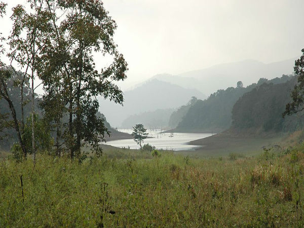 ಬುಡಕಟ್ಟು ಗಾರ್ಡ್‌ಗಳು