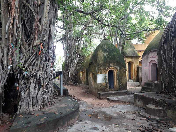 ಆಹಾರ ಮತ್ತು ವಾಸ್ಥವ್ಯ