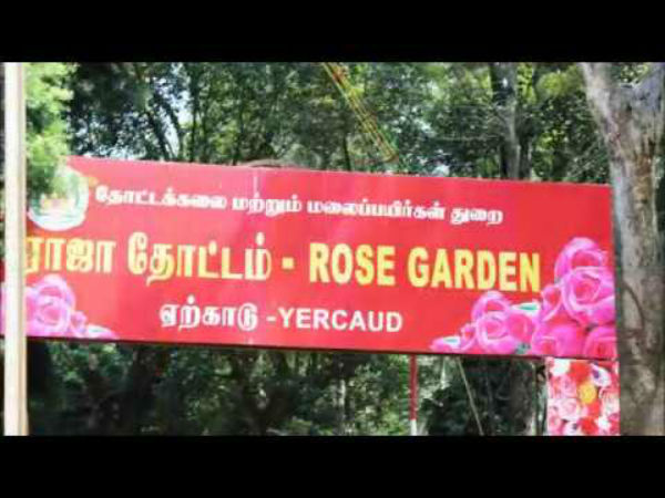 ರೇಷ್ಮೆ ತೋಟ ಹಾಗು ಗುಲಾಬಿ ಉದ್ಯಾನವನ