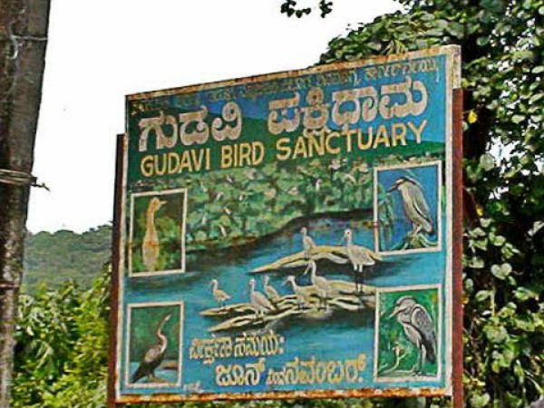 ಗುಡವಿ ಪಕ್ಷಿ ಧಾಮ