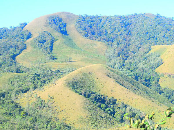 ಮುಳ್ಳಯ್ಯನ ಗಿರಿ 