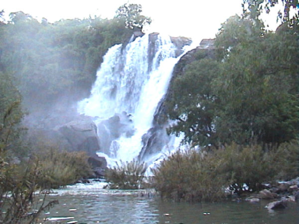 ಭರಾ ಚುಕ್ಕಿ