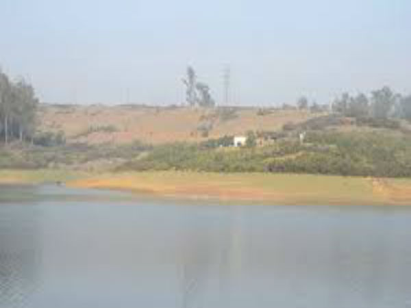 ಪಕ್ಷಿಗಳು, ಪ್ರಾಣಿಗಳನ್ನು ಕಾಣಬಹುದು