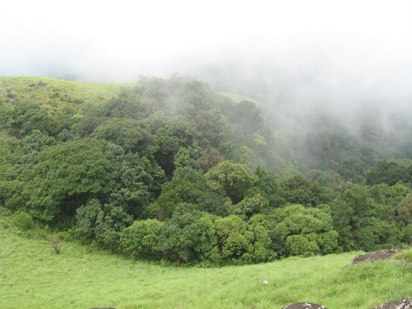 ಯಾವಾಗ ಭೇಟಿ ನೀಡುವುದು ಸೂಕ್ತ