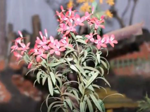 ಈ ಗಾರ್ಡನ್‌ ಆರಂಭಿಸಿದ್ದು ಯಾರು