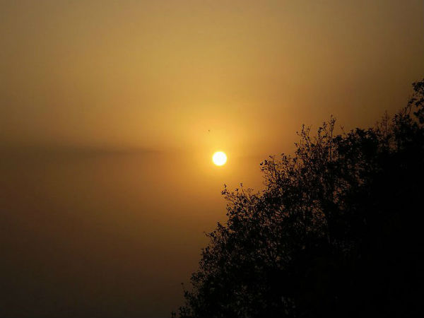 ವೆಟನರಿ ರೀಸರ್ಚ್ ಇನ್ಸ್ಟಿಟ್ಯೂಟ್ 