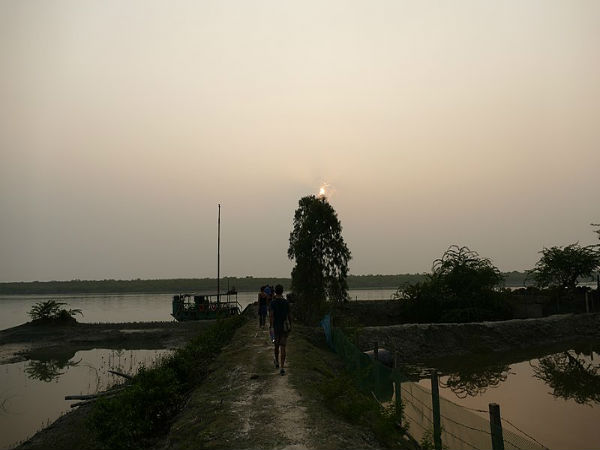 ಪಕ್ಷಿ ವೀಕ್ಷಣೆ