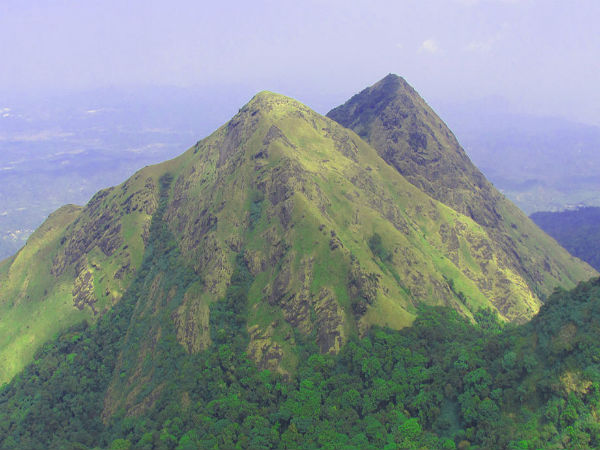 ಚೆಂಬ್ರಾ ಶಿಖರ, ವಯನಾಡ್ ಚೆಂಬ್ರಾ ಶಿಖರ, ವಯನಾಡ್