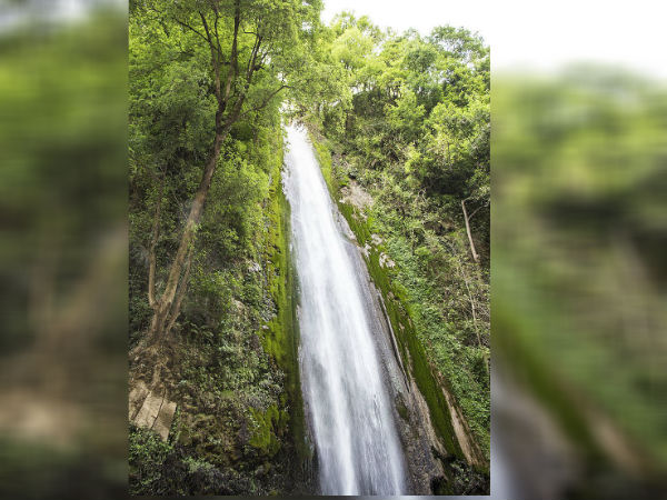 ಟೈಗರ್ ಜಲಪಾತ 