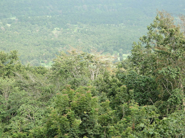 ತಲುಪುವುದು ಹೇಗೆ?