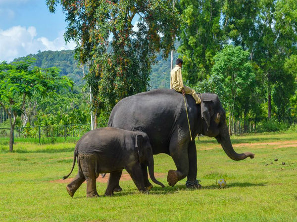 ಉತ್ತಮ ವಿಹಾರ ತಾಣ