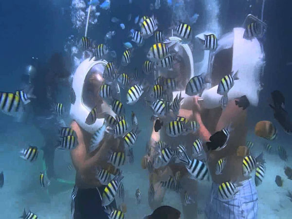 ವಾಕಿಂಗ್ ಹೆಲ್ಮೆಟ್