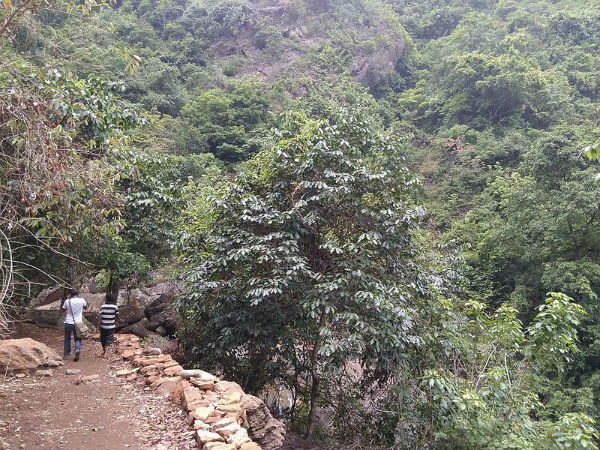 ಪಿಕ್ನಿಕ್‌ಗಳಿಗೆ ಸೂಕ್ತ 