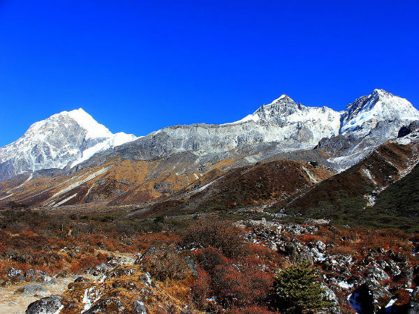 ತಲುಪುವುದು ಹೇಗೆ? 