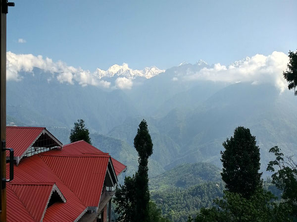 ವಿವಿಧ ಪ್ರಭೇದದ ಪ್ರಾಣಿಗಳು 