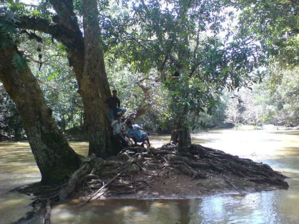 ತಲುಪುವುದು ಹೇಗೆ? 