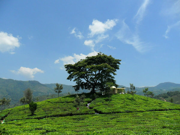 1793 ಮೀಟರ್ ಗಳಷ್ಟು ಎತ್ತರವಿದೆ