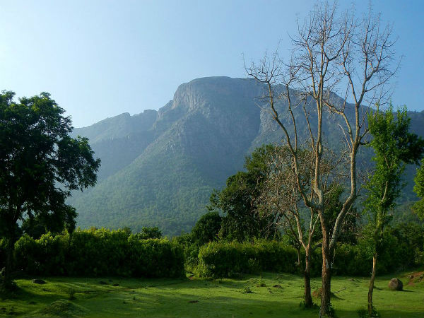 ಚಾರಣ ಪ್ರಿಯರ ಜಾಡು 