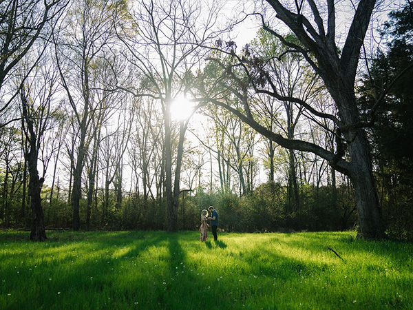 3. ಮುನ್ನಾರ್, ಕೇರಳ