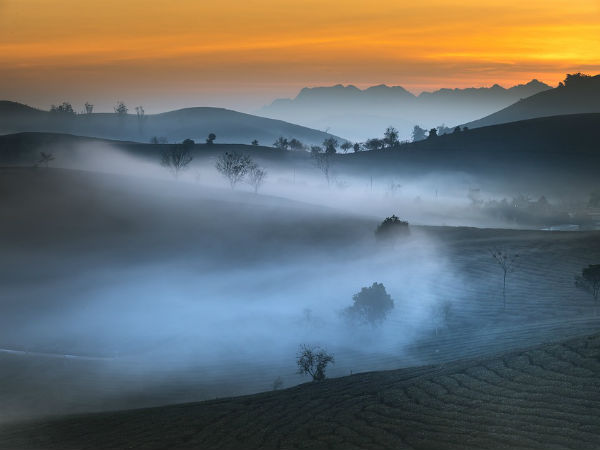 4. ಚಿಕ್ಕಮಗಳೂರು 