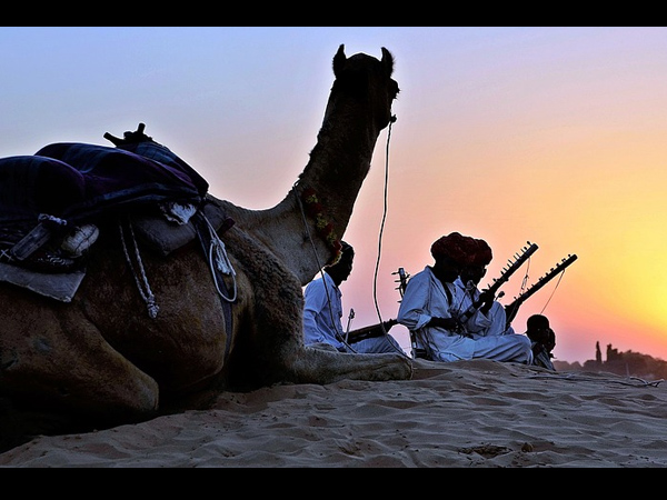 6. ಪುಷ್ಕರ್ ಒಂಟೆ ಮೇಳ 