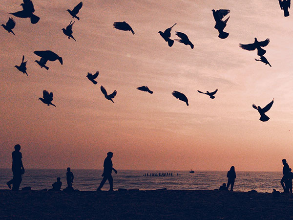 6. ಪಾಂಡಿಚೆರಿ