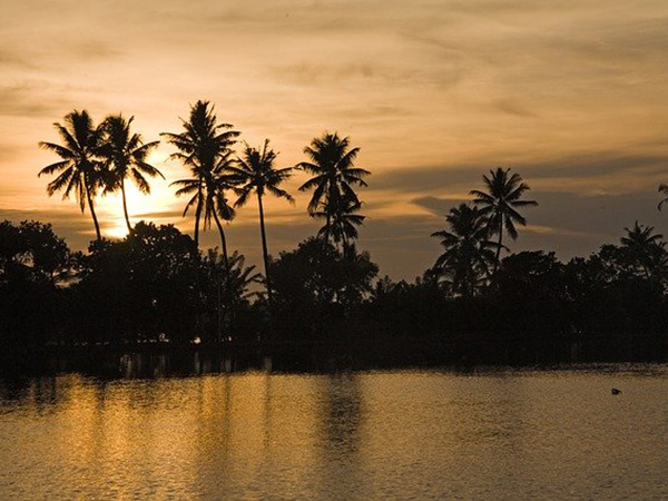 1. ಅಲೆಪ್ಪೆಯ ಬದಲು, ತೆಕ್ಕಕ್ಕಾಡುಗೆ ಭೇಟಿ ನೀಡಿ