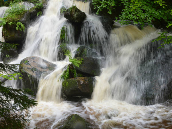 4) ಜೋಗಿನಿ ಜಲಪಾತ