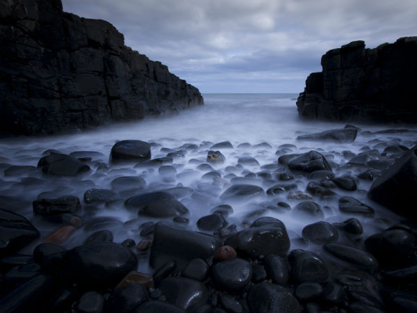 4) ಬೀಚ್ ಪ್ರಕಾರ