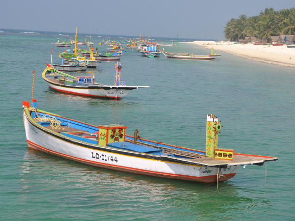 ತಪ್ಪಿಸಿಕೊಳ್ಳಬಾರದ ಕೆಲವು ಸಂಗತಿಗಳು: