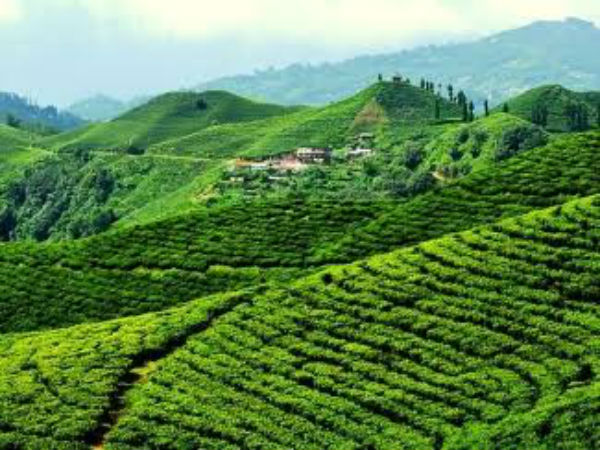 7. ಜೋರ್ಹತ್, ಅಸ್ಸಾಂ