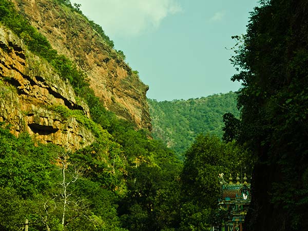 ನಲ್ಲಮಾಲಾ ಬೆಟ್ಟ