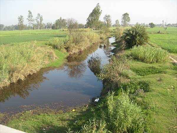 21) ಪಂಜಾಬ್ 