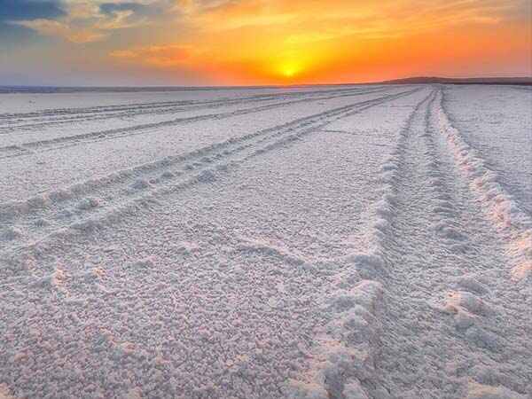 23) ಗುಜರಾತ್ 