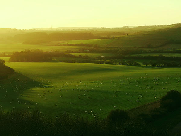 6. ಕೂರ್ಗ್