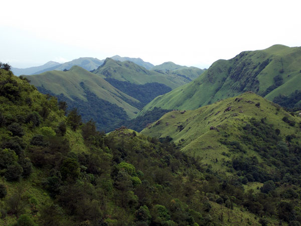 ತಲಕಾವೇರಿ ತಲಕಾವೇರಿ